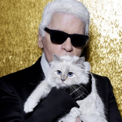 Karl Lagerfeld Is Selling A Stuffed Animal Version Of His Cat, Choupette
