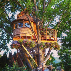 10 Gorgeous Tree Houses That Will Make You Want To Live In The Woods