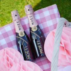 Champagne Six-Packs Are Summer's Ultimate Picnic Accessory