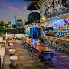 20 NYC Rooftop Bars To Get Your Drink On This Summer