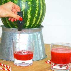 How To Get (& DIY) Your Own Watermelon Keg This Summer