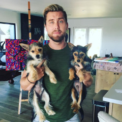 Would You Do Dog Yoga With Lance Bass?