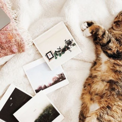 4 Things You Should Be Doing With All Those Photos On Your Phone 