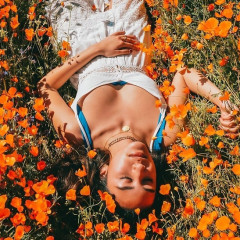 Instagram Influencers Have Caused The California Poppy Fields To Shut Down