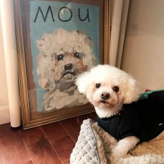 Treat Your Pup To A Custom Portrait This National Dog Day