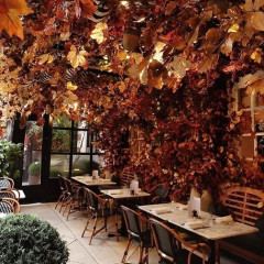 This London Restaurant Is An Instagrammable Autumn Dream