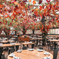 The Most Instagrammable Fall Spots In NYC