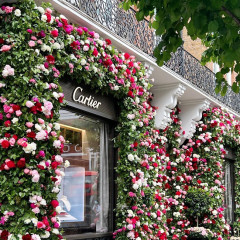 London's Posh Shops Are In Full Bloom For The Chelsea Flower Show
