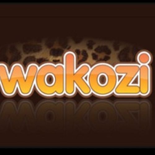 Wakozi