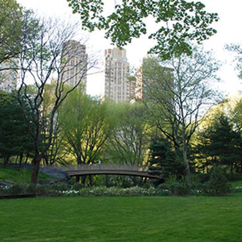 Venture Away From Your Computer And Go Outside!