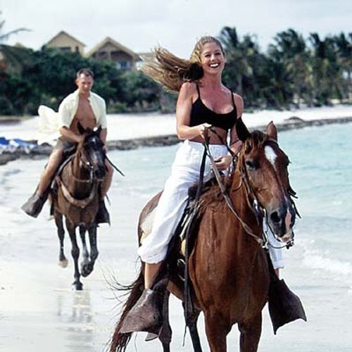 Saddle Up, New York!