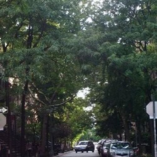 A Good Deed For The Day...