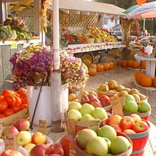 Be A Tourist For The Day