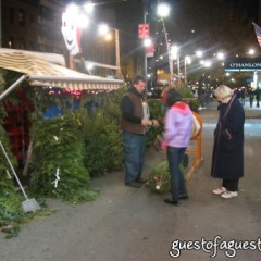 Finding The Perfect Christmas Tree In Manhattan