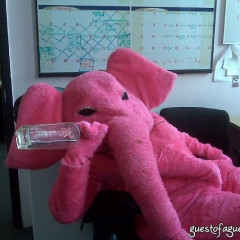 Mr. Pink Elephant Has Been Drinking On The Job (Again)!