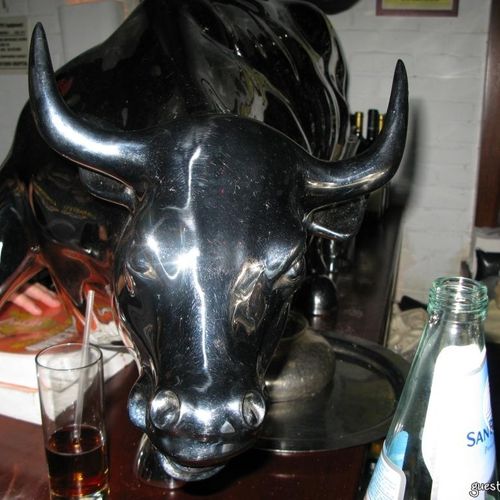 Which NYC Night Club Has The Best Mascot?