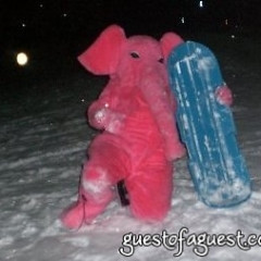 Mr. Pink Elephant Takes A Snow Day, Goes Sledding...