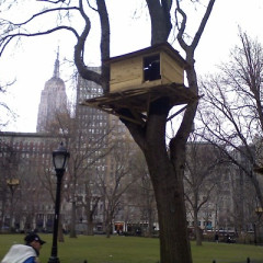 Today On Tumblr: The Madison Sq. Park Treehouse!