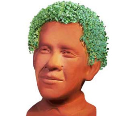 Now's Your Chance To Nurture Your Very Own Chia Obama To His Maximum Growth Potential!