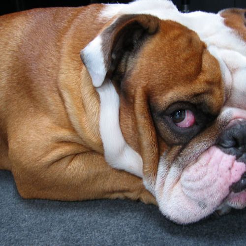 Stanley's Headed To The Hamptons!