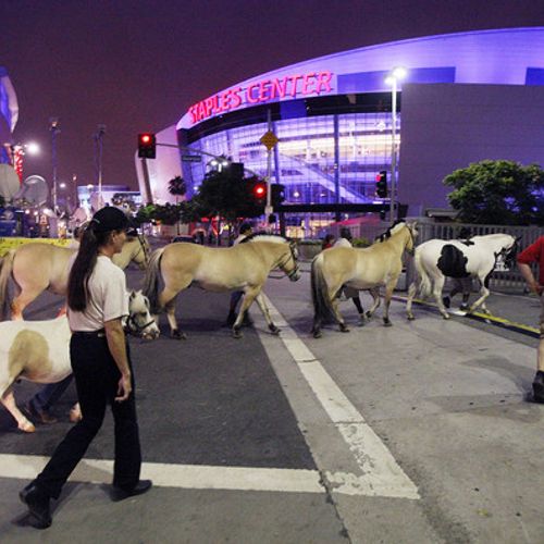 Photo Of The Day: All Eyes On The Staples Center In L.A.