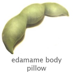 The Best Guests Come Bearing Gifts...The Edamame Body Pillow