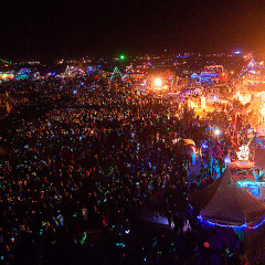 Photo Of The Day: Art Themed Evolution At Burning Man 2009
