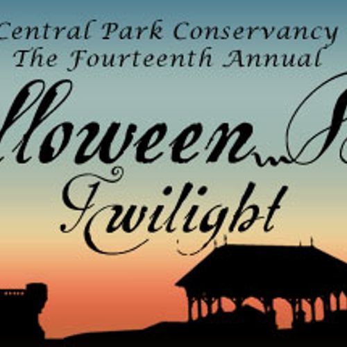 “The Playground” Your Guide To What To Do Tonight…