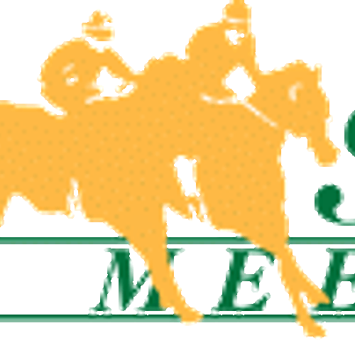 “The Playground” Your Guide To What To Do This Weekend…