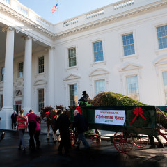 Photo Of The Day: The Obamas' First White House Christmas 