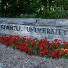 What We Learned About Cornell This Year Pending The 