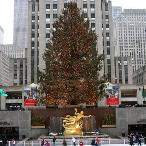 “The Playground” Your Guide To What To Do Tonight…