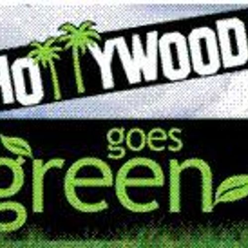 “The Playground” Your Guide To What To Do Tonight…