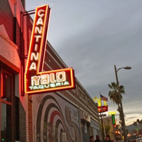 “The Playground” Your Guide To What To Do Tonight…