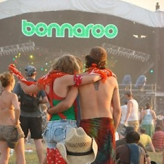 Bonnaroo 2010: We Know What You're Missing 