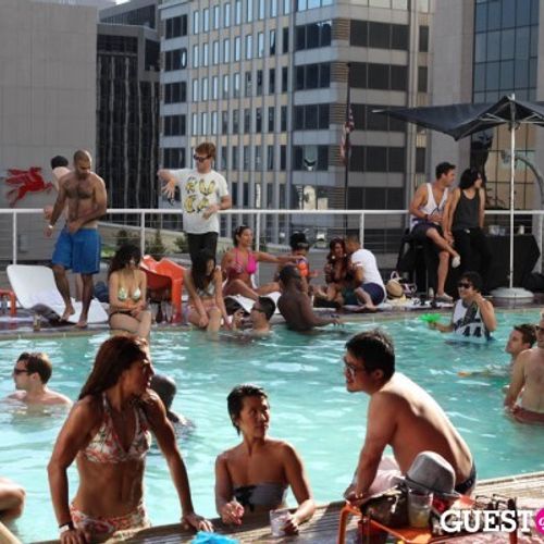 Swimming With Sharks At The Standard