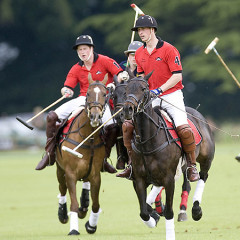 10 Things You Didn't Know About Polo