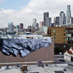 TED 2011 Winner Pursues One Wish To Beautify World With Street Art