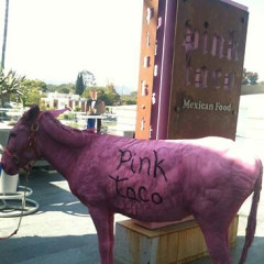 Pink Taco Would Like To Clear Up Your 'Misperceptions' About That Donkey They Painted Pink
