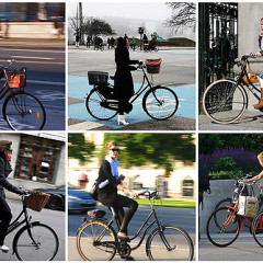 A Bicycle For Every NYC Neighborhood