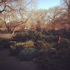NYC's MulchFest 2012: Make Your Christmas Tree Into Mulch