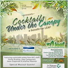You're Invited: The Nature Conservancy's Young Professionals Group's Cocktails Under The Canopy: A Benefit For Leaf