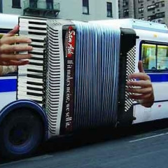 Photo Of The Day: Accordion Bus