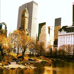 Photo Of The Day: A Sunny Central Park Pond