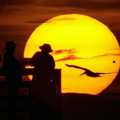 Transit of Venus 2012: Your Guide To Watching This Evening's Historic Celestial Event