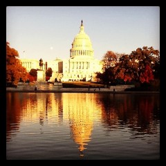 Photo Of The Day: Cool Capitol