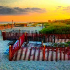 Photo Of The Day: Sunrise On Fire Island 