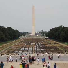 The Reflecting Pool Is Almost Ready!!!