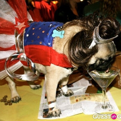 Doggies Don Costumes For The Amanda Foundation's Bow Wow Beverly Hills 