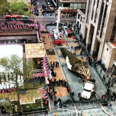 Photo Of The Day: 80th Rockefeller Center Tree Survived Sandy
